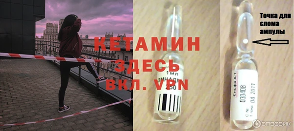 индика Богородицк