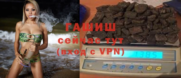 эйфоретик Няндома