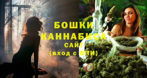 индика Богородицк