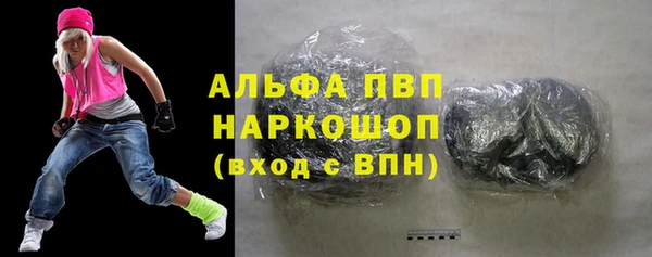 индика Богородицк