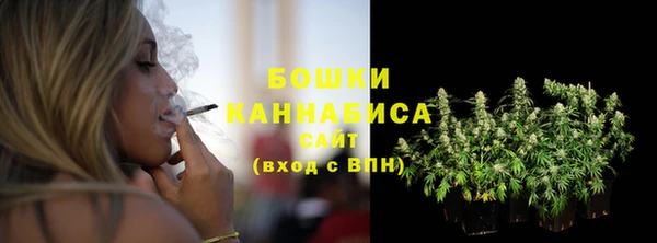эйфоретик Няндома