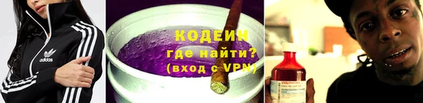 индика Богородицк