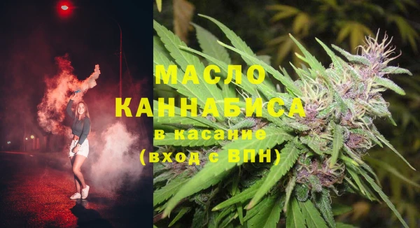 индика Богородицк