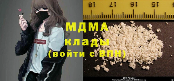 индика Богородицк