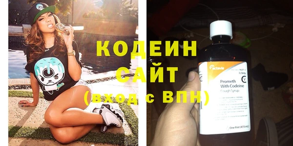 индика Богородицк