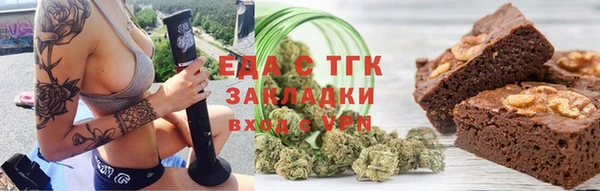 индика Богородицк