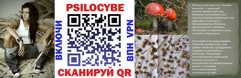 Галлюциногенные грибы Cubensis  купить наркотик  Мончегорск 