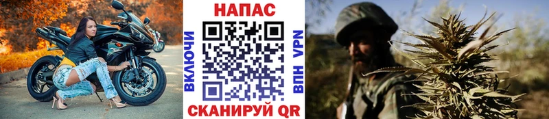 mega рабочий сайт  Мончегорск  darknet Telegram  Канабис гибрид 